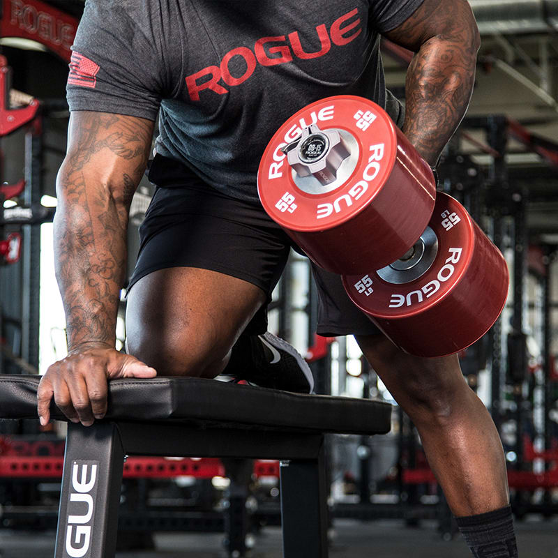 Rogue Dumbbell Bumpers Rogue Fitness Canada